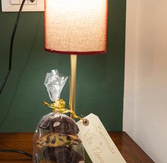 Pisa Bed & Breakfast | Villa Noemi Bed&Breakfast