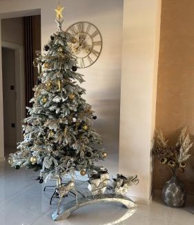 Zemunik Donji Villa | Villa Oasis