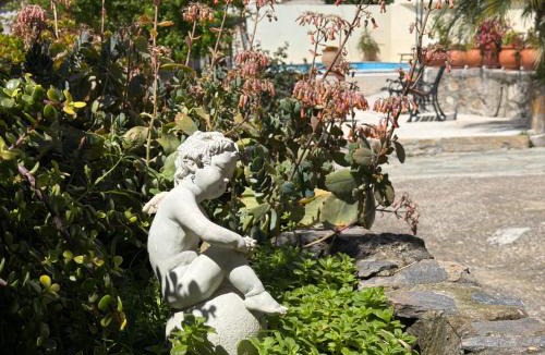 Kissamos Villa | Villa Olive Tree with Private Pool