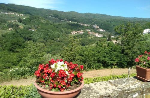 Marliana Apartment | Villa Olivi