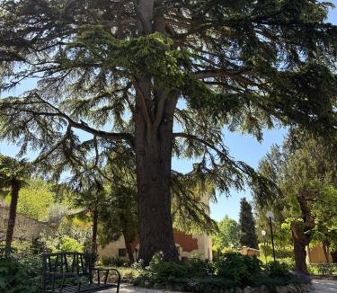 Perugia Apartment | Villa Olivi