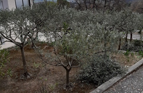 Cadenet Apartment | Villa on a hillside on a slope of the Luberon