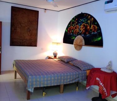 Aluthgama Bed & Breakfast | Villa Onus
