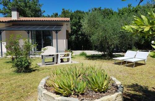 Gavorrano Apartment | Villa Ophelia