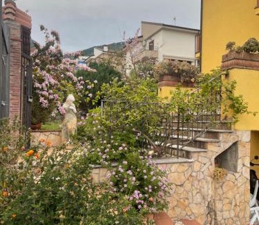 Praia a Mare Bed & Breakfast | Villa Orchidea