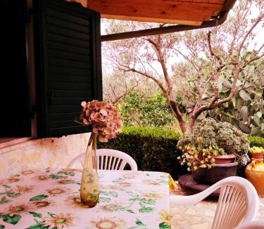 San Sostene Marina Apartment | Villa ortensia