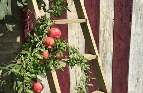 Cavezzo Bed & Breakfast | Villa Pacchioni
