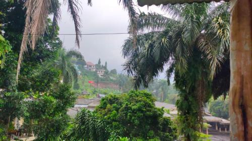 Ciloto Villa | Villa Pangrango