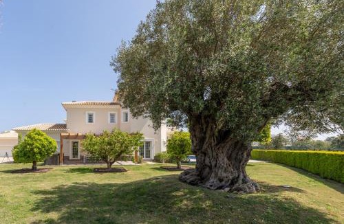 Molinell Villa | Villa Panorama