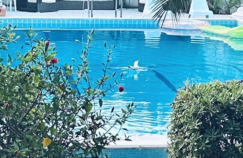 Terrasini Villa | Villa Panoramica con Piscina