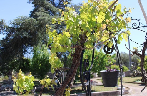Carmiano Bed & Breakfast | Villa Pierino