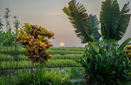 Babakan Villa | Villa Pima - Sumptuous 2BR Private Villa surrounded by Rice fields in a quiet Area