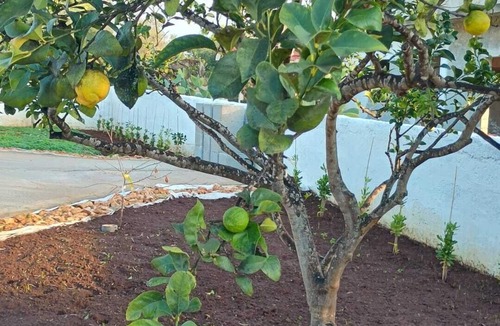 Avetrana Villa | Villa Piro: detached villa with garden, veranda and BBQ, Litorale di Manduria
