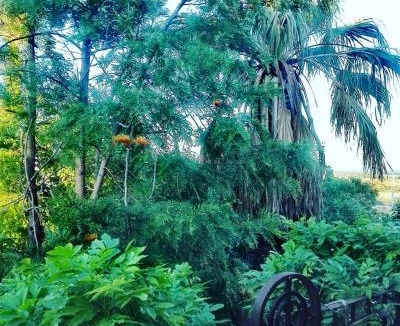 Casa Papa Bed & Breakfast | Villa Polara