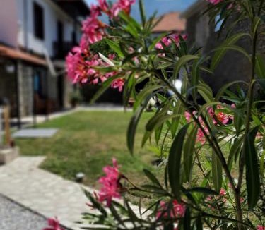 Lefkonas Bed & Breakfast | Villa Prespa