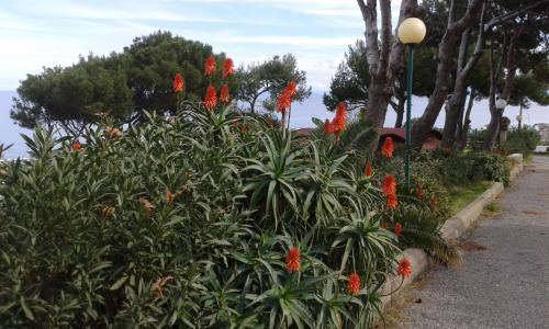 Gioiosa Marea Apartment | Villa Ridente Apartament