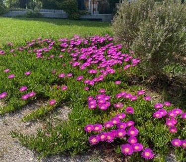 Granarola House | Villa Rina