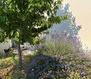 Gata Villa | Villa Roko
