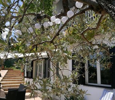 Vasto House | Villa Rosaria