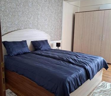 Calea Sever Bocu Apartment | Villa Rosetto