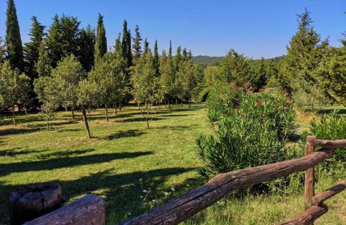 Pomarance Villa | Villa San Martino