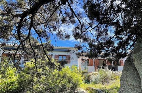 Olmeto Villa | Villa Santa