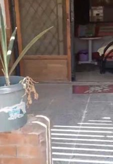 Ras Sudar Cabin | Villa Sayed