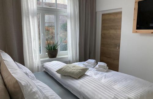 Wernigerode Apartment | Villa Schlossblick III - Zeit zum Träumen in exklusiver Suite "Zirbennest", Parkplatz, Smart-TV, WLAN