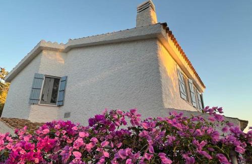 Quartu Sant'Elena Apartment | Villa Silmar