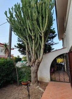 Taranto Villa | Villa Silvana
