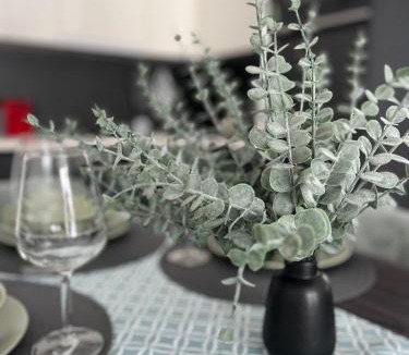 Siofok Apartment | Villa Silver Side