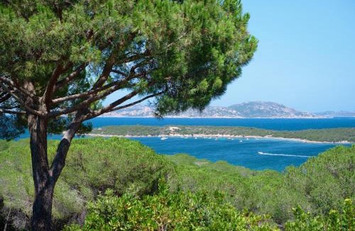 Conca Verde Apartment | Villa Solaris