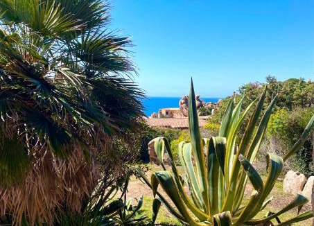 Costa Paradiso House | Villa Sole 3 - Agave Horizon Retreat