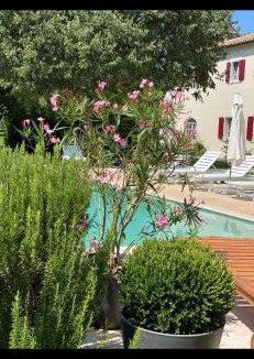 Filipini Villa | Villa Sophie