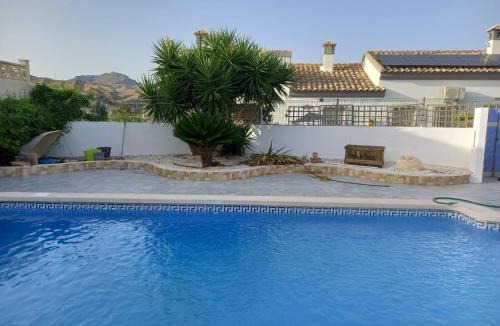 La Alfoquia Villa | Villa Sparrow, Arboleas