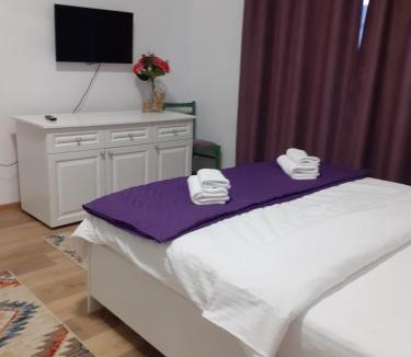 Ocna Sibiului House | Villa Stoia