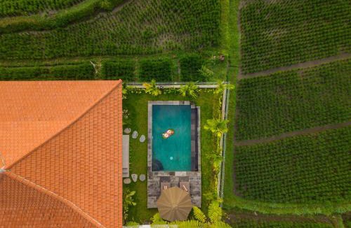 Sambahan House | Villa Suda Ubud by Dhananjaya Hospitality