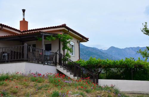 Kamariotissa Villa | Villa Thanos