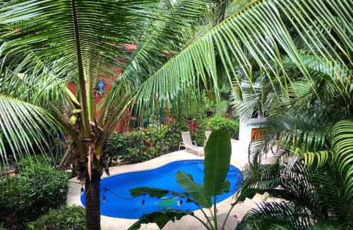 Playa Guiones Cabin | Villa Tortuga
