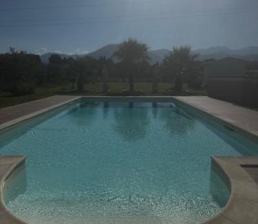 Scalea Bed & Breakfast | Villa Ursino