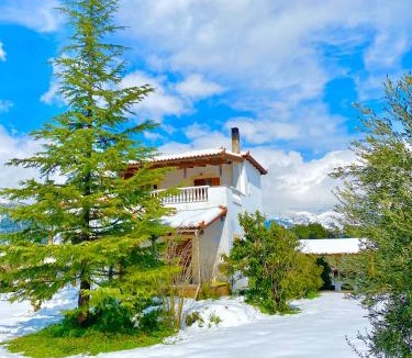 Dirfys-Messapia Villa | Villa Vasiliki