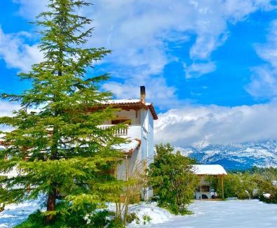 Dirfys-Messapia Villa | Villa Vasiliki