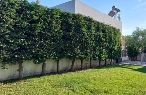 Spata-Artemida Villa | Villa verde