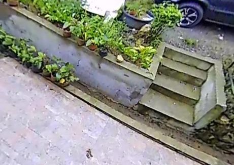 Baguio House | Villa Viray