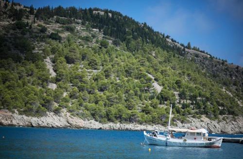 Assos Villa | Villa Vivere