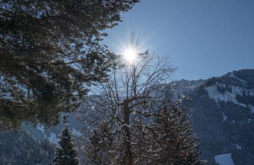 Mayrhofen Apartment | Villa Volgger