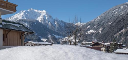 Mayrhofen Apartment | Villa Volgger