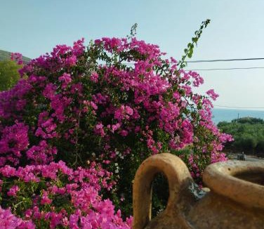 Karavostasi Villa | Villa Voukamvilia 3 minutes walk from Beach