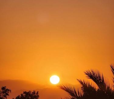 Dahab Apartment | Villa Vovan