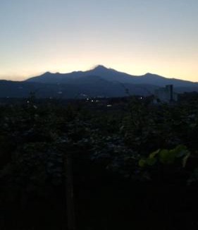 Santa Venerina Villa | Villa with Pool and Mount Etna and Vineyards views